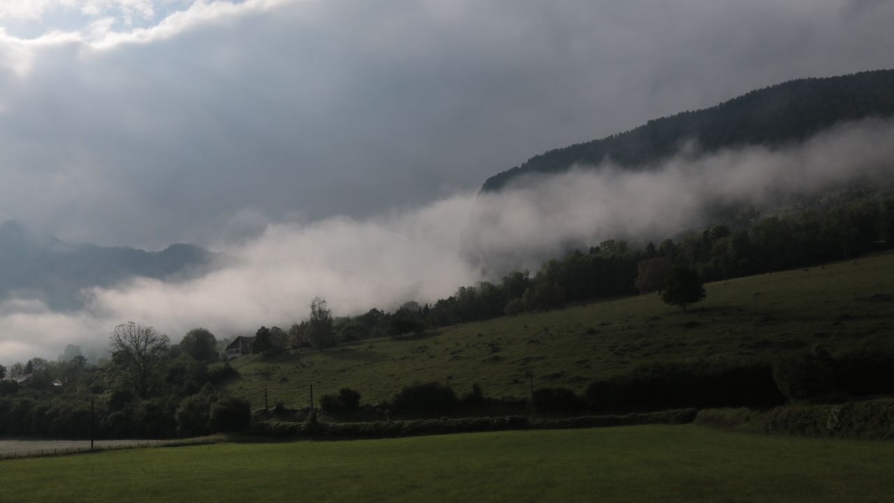 IMG_6239.JPG