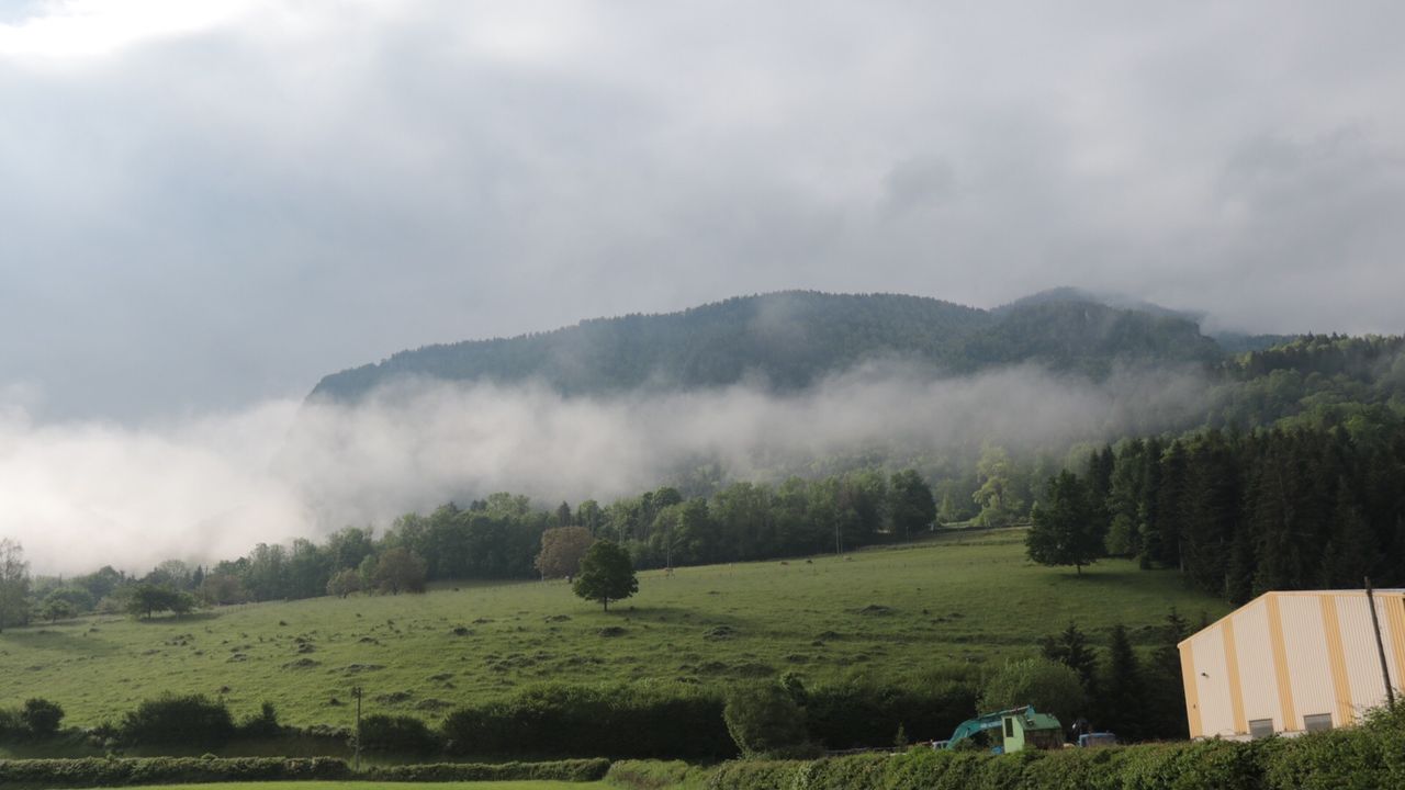 IMG_6244.JPG