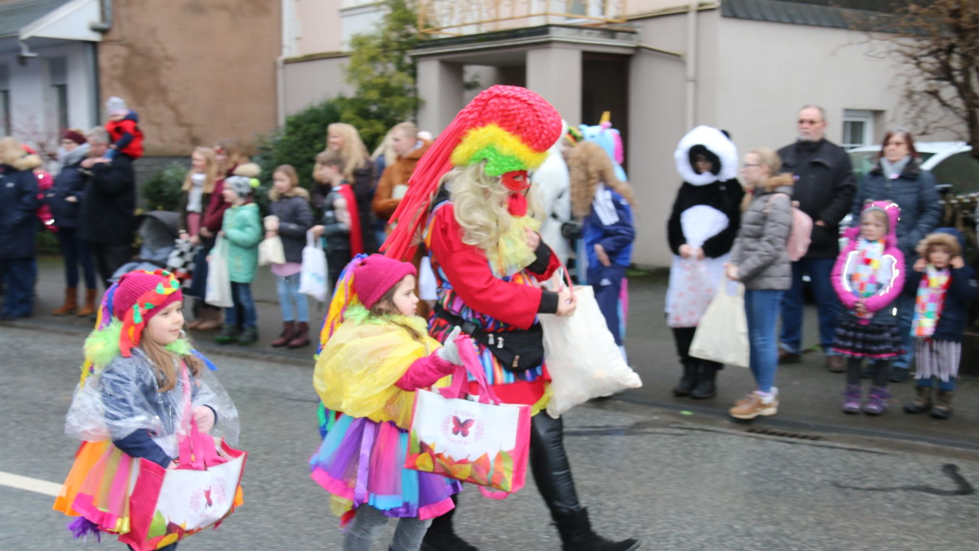 Rosenmontagszug_2020_027.JPG
