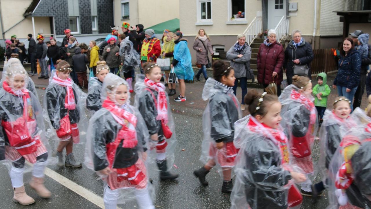 Rosenmontag_2019_224.JPG